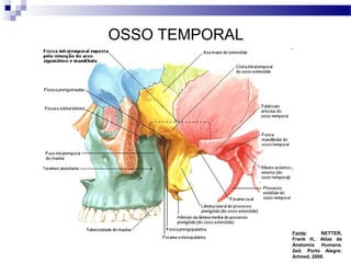 OSSO TEMPORAL
Fonte: NETTER,
Frank H.. Atlas de
Anatomia Humana.
2ed. Porto Alegre:
Artmed, 2000.
 