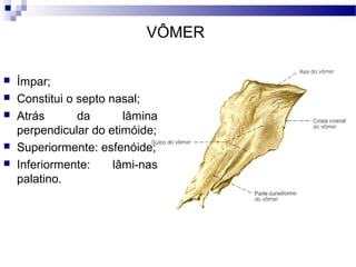 VÔMER
 Ímpar;
 Constitui o septo nasal;
 Atrás da lâmina
perpendicular do etimóide;
 Superiormente: esfenóide;
 Inferiormente: lâmi-nas
palatino.
 