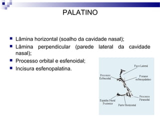 PALATINO
 Lâmina horizontal (soalho da cavidade nasal);
 Lâmina perpendicular (parede lateral da cavidade
nasal);
 Processo orbital e esfenoidal;
 Incisura esfenopalatina.
 