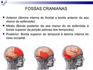 FOSSAS CRANIANAS
 Anterior (lâmina interna do frontal a borda anterior da asa
menor do esfenóide);
 Média (Borda posterior da asa menor do do esfenóide à
borda superior da porção petrosa dos temporais);
 Posterior: Borda superior do temporal à lamina interna do
osso occipital.
 