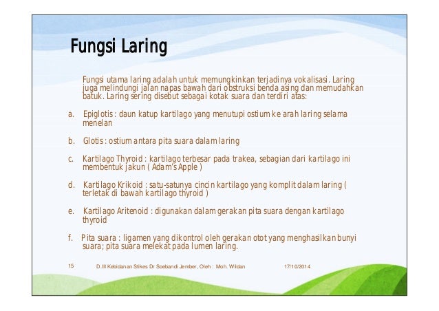 3 Anatomi Fisiologi Sistem Pernafasan