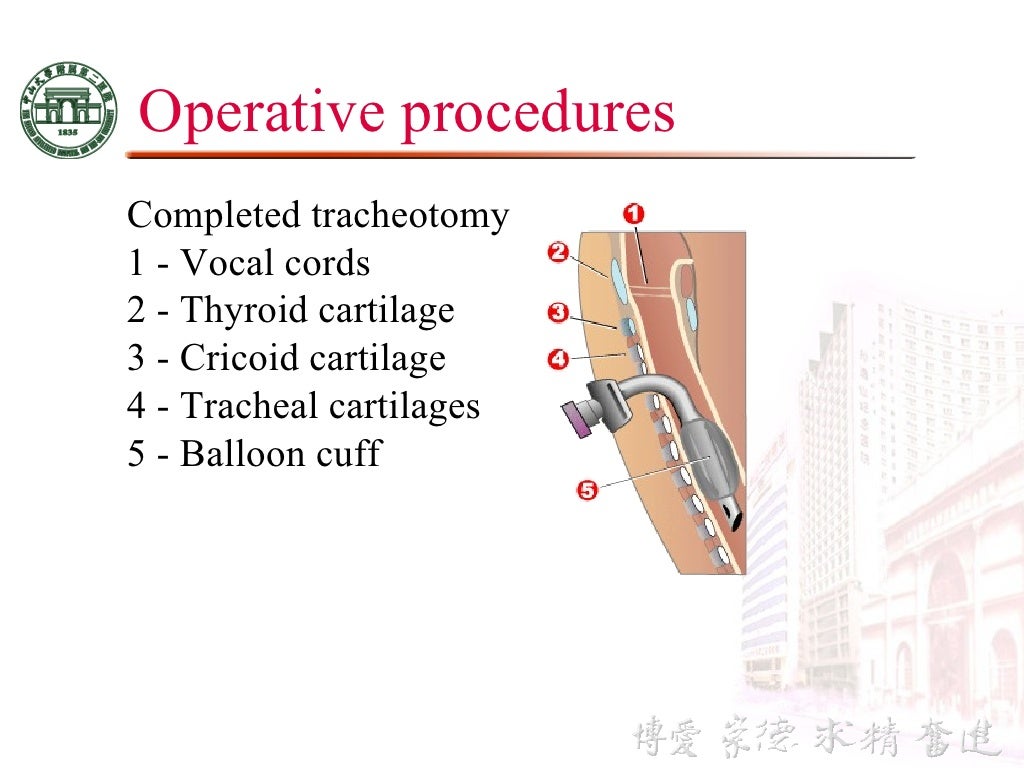 3 anatomy & physiology of esophagus