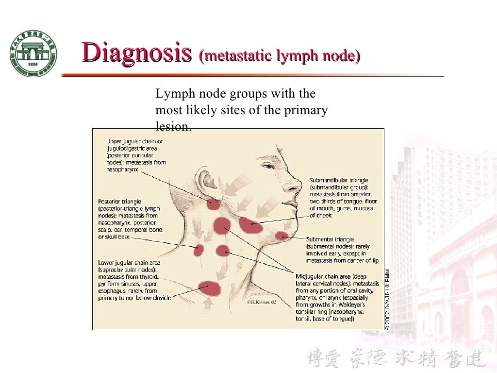 3 anatomy & physiology of esophagus