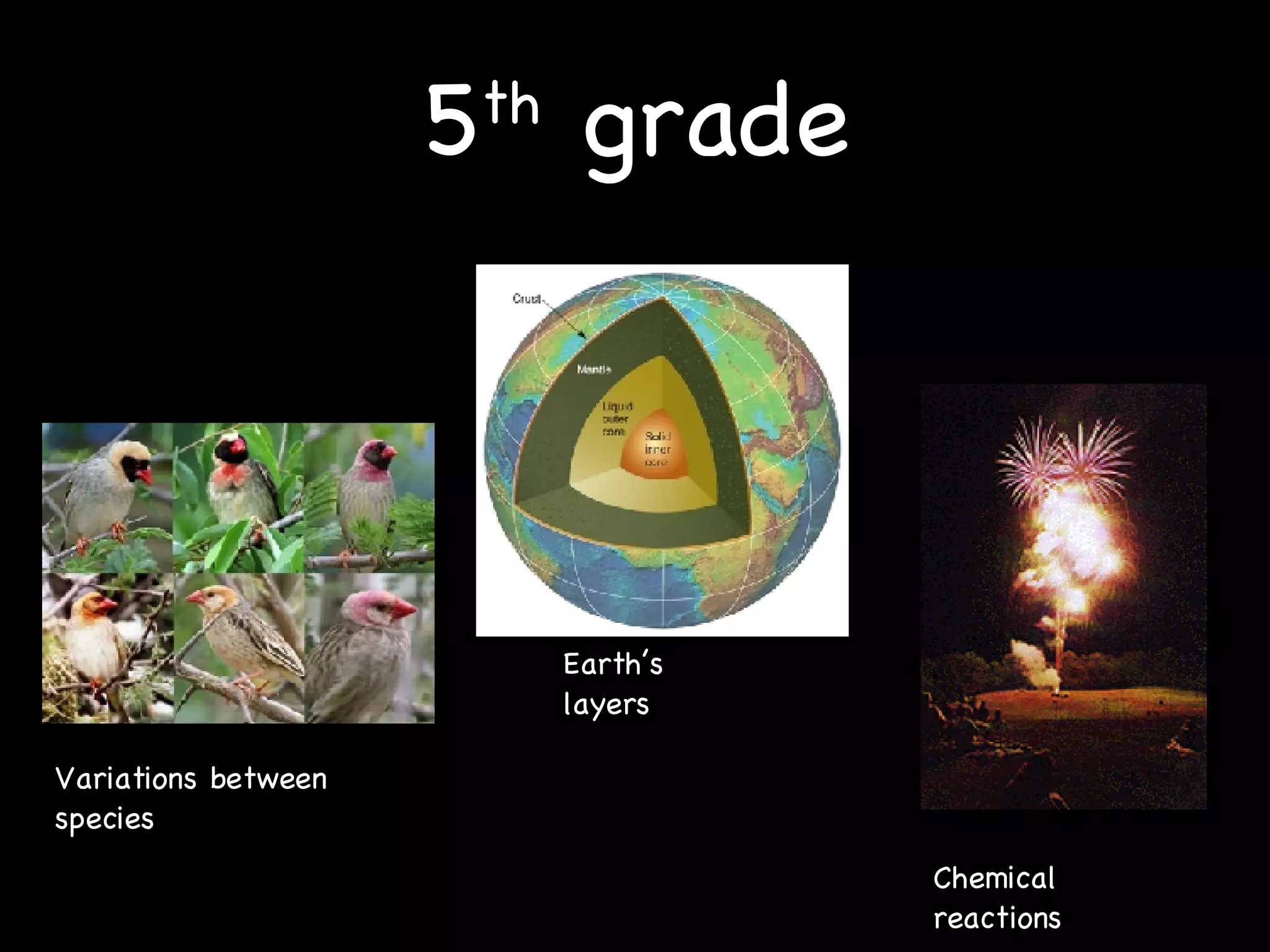 5 th  grade Chemical reactions Earth’s layers Variations between species 