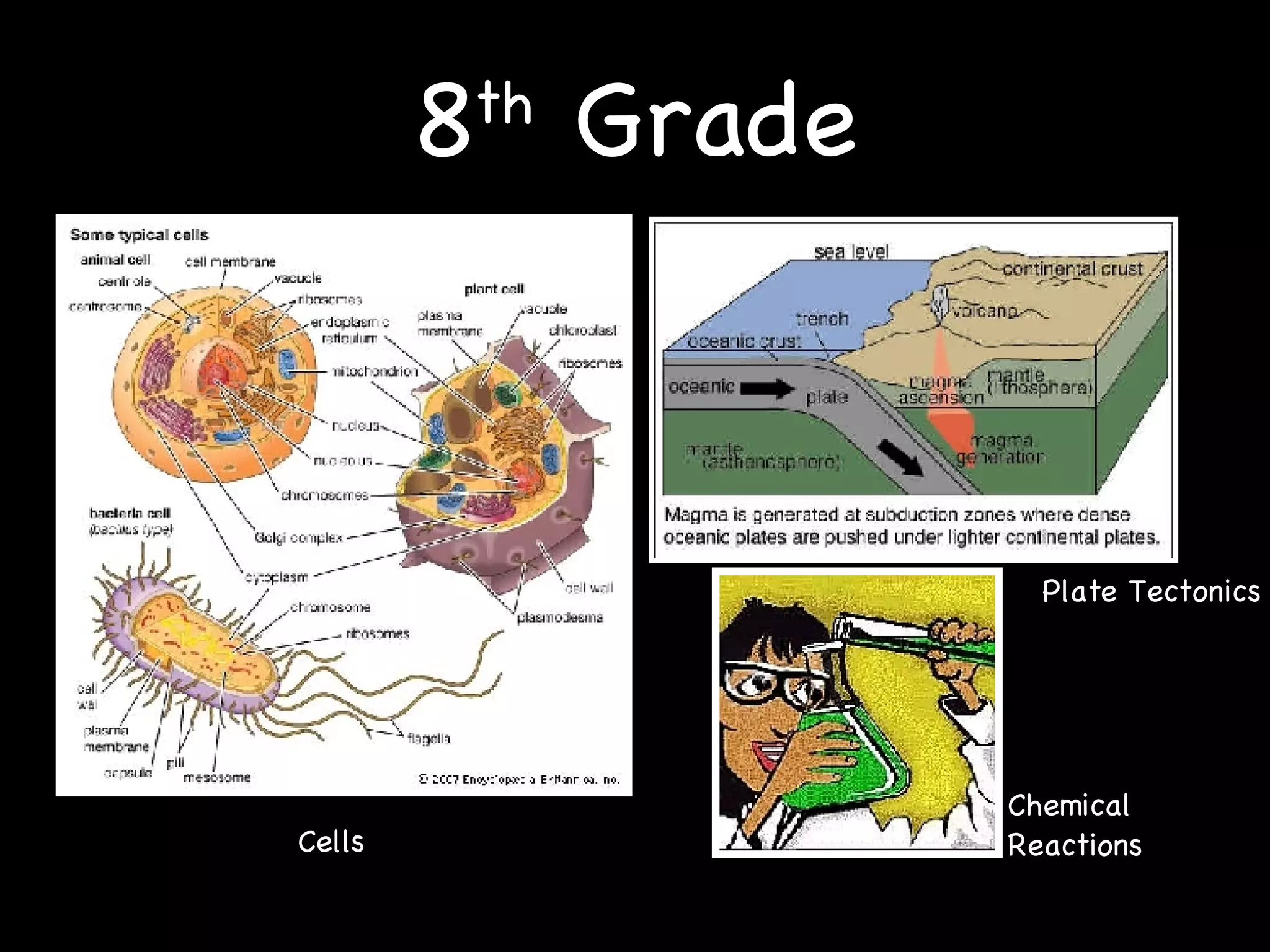 8 th  Grade Plaaaaaa Chemical Reactions Plate Tectonics Cells 