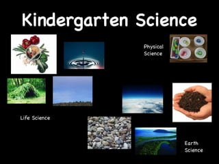 Kindergarten Science Life Science Earth Science Physical Science 