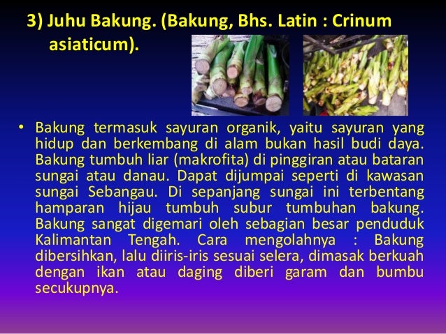 (3)aneka macam masakan ala dayak