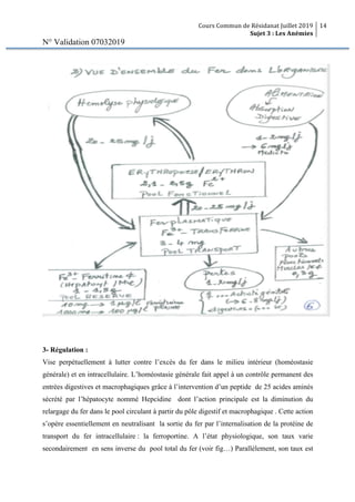 Cours Commun de Résidanat Juillet 2019
Sujet 3 : Les Anémies
14
N° Validation 07032019
3- Régulation :
Vise perpétuellement à lutter contre l’excès du fer dans le milieu intérieur (homéostasie
générale) et en intracellulaire. L’homéostasie générale fait appel à un contrôle permanent des
entrées digestives et macrophagiques grâce à l’intervention d’un peptide de 25 acides aminés
sécrété par l’hépatocyte nommé Hepcidine dont l’action principale est la diminution du
relargage du fer dans le pool circulant à partir du pôle digestif et macrophagique . Cette action
s’opère essentiellement en neutralisant la sortie du fer par l’internalisation de la protéine de
transport du fer intracellulaire : la ferroportine. A l’état physiologique, son taux varie
secondairement en sens inverse du pool total du fer (voir fig…) Parallèlement, son taux est
 