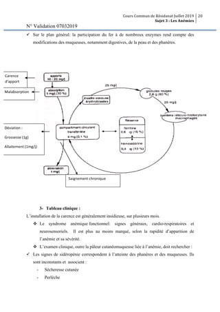 Cours Commun de Résidanat Juillet 2019
Sujet 3 : Les Anémies
20
N° Validation 07032019
ü Sur le plan général: la participation du fer à de nombreux enzymes rend compte des
modifications des muqueuses, notamment digestives, de la peau et des phanères.
3- Tableau clinique :
L’installation de la carence est généralement insidieuse, sur plusieurs mois.
v Le syndrome anémique fonctionnel: signes généraux, cardio-respiratoires et
neurosensoriels. Il est plus au moins marqué, selon la rapidité d’apparition de
l’anémie et sa sévérité.
v L’examen clinique, outre la pâleur cutanéomuqueuse liée à l’anémie, doit rechercher :
ü Les signes de sidéropénie correspondent à l’atteinte des phanères et des muqueuses. Ils
sont inconstants et associent :
- Sècheresse cutanée
- Perlèche
Carence
d’apport
Malabsorption
Saignement chronique
Déviation :
Grossesse (1g)
Allaitement (1mg/j)
 