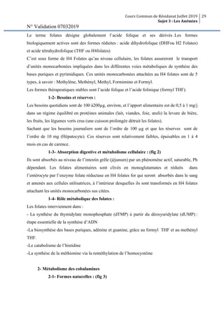 Cours Commun de Résidanat Juillet 2019
Sujet 3 : Les Anémies
29
N° Validation 07032019
Le terme folates désigne globalement l’acide folique et ses dérivés .Les formes
biologiquement actives sont des formes réduites : acide dihydrofolique (DHFou H2 Folates)
et acide tétrahydrofolique (THF ou H4folates)
C’est sous forme de H4 Folates qu’au niveau cellulaire, les folates assureront le transport
d’unités monocarbonées impliquées dans les différentes voies métaboliques de synthèse des
bases puriques et pyrimidiques. Ces unités monocarbonées attachées au H4 folates sont de 5
types, à savoir : Methylène, Methényl, Methyl, Formimino et Formyl.
Les formes thérapeutiques stables sont l’acide folique et l’acide folinique (formyl THF).
1-2- Besoins et réserves :
Les besoins quotidiens sont de 100 à200µg, environ, et l’apport alimentaire est de 0,5 à 1 mg/j
dans un régime équilibré en protéines animales (lait, viandes, foie, œufs) la levure de bière,
les fruits, les légumes verts crus (une cuisson prolongée détruit les folates).
Sachant que les besoins journaliers sont de l’ordre de 100 µg et que les réserves sont de
l’ordre de 10 mg (Hépatocyte). Ces réserves sont relativement faibles, épuisables en 1 à 4
mois en cas de carence.
1-3- Absorption digestive et métabolisme cellulaire : (fig 2)
Ils sont absorbés au niveau de l’intestin grêle (jéjunum) par un phénomène actif, saturable, Ph
dépendant. Les folates alimentaires sont clivés en monoglutamates et réduits dans
l’entérocyte par l’enzyme folate réductase en H4 folates for qui seront absorbés dans le sang
et amenés aux cellules utilisatrices, à l’intérieur desquelles ils sont transformés en H4 folates
attachant les unités monocarbonées sus citées.
1-4- Rôle métabolique des folates :
Les folates interviennent dans :
- La synthèse du thymidylate monophosphate (dTMP) à partir du déoxyuridylate (dUMP) :
étape essentielle de la synthèse d’ADN
-La biosynthèse des bases puriques, adénine et guanine, grâce au formyl THF et au methényl
THF.
-Le catabolisme de l’histidine
-La synthèse de la méthionine via la reméthylation de l’homocystéine
2- Métabolisme des cobalamines
2-1- Formes naturelles : (fig 3)
 