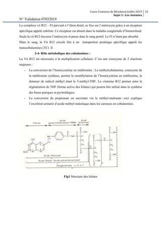 Cours Commun de Résidanat Juillet 2019
Sujet 3 : Les Anémies
31
N° Validation 07032019
Le complexe vit B12 – FI parvient à l’iléon distal, se fixe sur l’entérocyte grâce à un récepteur
spécifique appelé cubiline. Ce récepteur est absent dans la maladie congénitale d’Immerslund.
Seule la vit B12 traverse l’entérocyte et passe dans le sang portal. Le FI n’étant pas absorbé.
Dans le sang, la Vit B12 circule liée à un transporteur protéique spécifique appelé les
transcobalamines (TC) II
2-4- Rôle métabolique des cobalamines :
La Vit B12 est nécessaire à la multiplication cellulaire. C’est une coenzyme de 2 réactions
majeures :
- La conversion de l’homocystéine en méthionine : La méthylcobalamine, coenzyme de
la méthionine synthase, permet la reméthylation de l’homocystéine en méthionine, le
donneur de radical méthyl étant le 5-méthyl-THF. La vitamine B12 permet ainsi la
régénération de THF (forme active des folates) qui pourra être utilisé dans la synthèse
des bases puriques et pyrimidiques.
- La conversion du propionate en succinate via le méthyl-malonate : ceci explique
l’excrétion urinaire d’acide méthyl-malonique dans les carences en cobalamines.
Fig1 Structure des folates
 