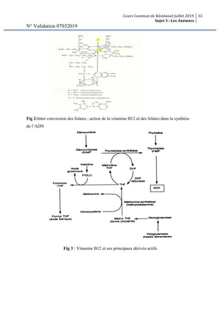 Cours Commun de Résidanat Juillet 2019
Sujet 3 : Les Anémies
32
N° Validation 07032019
Fig 2:Inter conversion des folates ; action de la vitamine B12 et des folates dans la synthèse
de l’ADN
Fig 3 : Vitamine B12 et ses principaux dérivés actifs
 