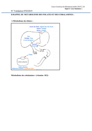 Cours Commun de Résidanat Juillet 2019
Sujet 3 : Les Anémies
34
N° Validation 07032019
II-RAPPEL DU METABOLISME DES FOLATES ET DES COBALAMINES :
1-Métabolisme des folates :
Métabolisme des cobalamines : (vitamine B12)
 