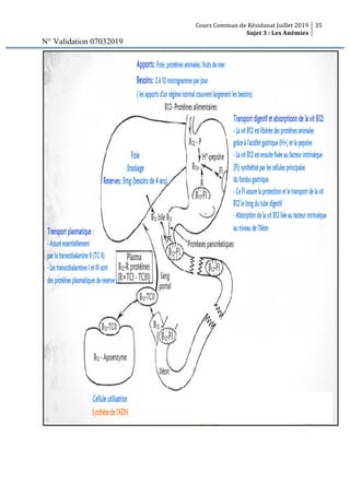 Cours Commun de Résidanat Juillet 2019
Sujet 3 : Les Anémies
35
N° Validation 07032019
 