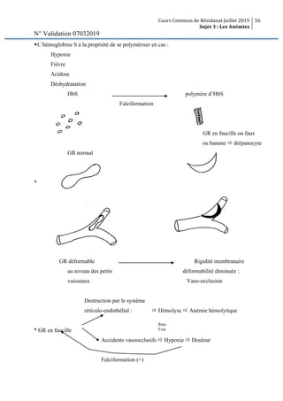 Cours Commun de Résidanat Juillet 2019
Sujet 3 : Les Anémies
56
N° Validation 07032019
wL’hémoglobine S à la propriété de se polymériser en cas :
Hypoxie
Fièvre
Acidose
Déshydratation
HbS polymère d’HbS
Falciformation
GR en faucille ou faux
ou banane ð drépanocyte
GR normal
*
GR déformable Rigidité membranaire
au niveau des petits déformabilité diminuée :
vaisseaux Vaso-occlusion
Destruction par le système
réticulo-endothélial : ð Hémolyse ð Anémie hémolytique
* GR en faucille
Accidents vasoocclusifs ð Hypoxie ð Douleur
Falciformation (+)
Rate
Foie
Moelle osseuse
 