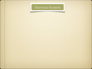 3 a nervoussystem 1.1