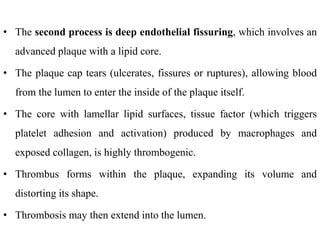 • The second process is deep endothelial fissuring, which involves an
advanced plaque with a lipid core.
• The plaque cap tears (ulcerates, fissures or ruptures), allowing blood
from the lumen to enter the inside of the plaque itself.
• The core with lamellar lipid surfaces, tissue factor (which triggers
platelet adhesion and activation) produced by macrophages and
exposed collagen, is highly thrombogenic.
• Thrombus forms within the plaque, expanding its volume and
distorting its shape.
• Thrombosis may then extend into the lumen.
 