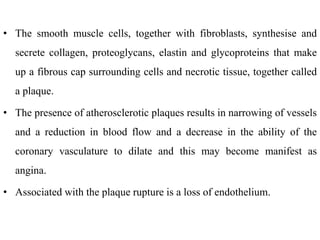• The smooth muscle cells, together with fibroblasts, synthesise and
secrete collagen, proteoglycans, elastin and glycoproteins that make
up a fibrous cap surrounding cells and necrotic tissue, together called
a plaque.
• The presence of atherosclerotic plaques results in narrowing of vessels
and a reduction in blood flow and a decrease in the ability of the
coronary vasculature to dilate and this may become manifest as
angina.
• Associated with the plaque rupture is a loss of endothelium.
 