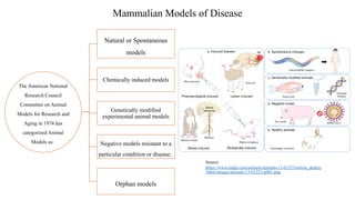 Animal Models for Biological and Clinical Research ppt 2.pptx