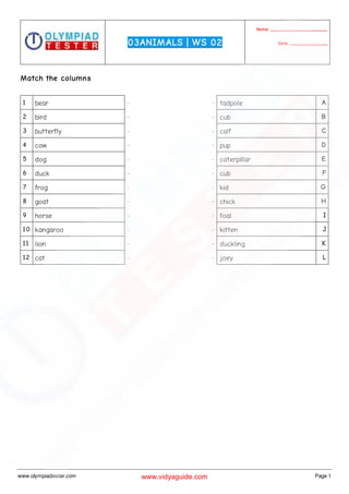 Class 3 Science Olympiad Sample paper on Animals - Set 01 | PDF