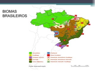 BIOMAS
BRASILEIROS
 