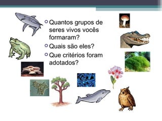  Quantos grupos de
seres vivos vocês
formaram?
 Quais são eles?
 Que critérios foram
adotados?
 