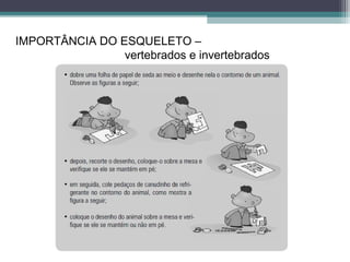 IMPORTÂNCIA DO ESQUELETO –
vertebrados e invertebrados
 