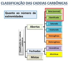 Quanto ao número de
extremidades
 