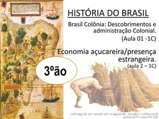 HISTÓRIA DO BRASIL
Brasil Colônia: Descobrimentos e
administração Colonial.
(Aula 01 -1C)
Economia açucareira/presença
estrangeira.
(aula 2 – 1C)
3ºãoo
 