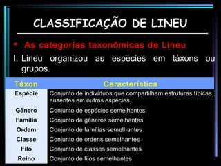 CLASSIFICAÇÃO DE LINEU
 As categorias taxonômicas de Lineu
I. Lineu organizou as espécies em táxons ou
grupos.
Táxon

Característica

Espécie

Conjunto de indivíduos que compartilham estruturas típicas
ausentes em outras espécies.

Gênero

Conjunto de espécies semelhantes

Família

Conjunto de gêneros semelhantes

Ordem

Conjunto de famílias semelhantes

Classe

Conjunto de ordens semelhantes

Filo

Conjunto de classes semelhantes

Reino

Conjunto de filos semelhantes

 