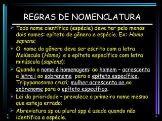 REGRAS DE NOMENCLATURA
 Todo nome científico (espécie) deve ter pelo menos
dois nomes: epíteto de gênero e espécie. Ex: Homo
sapiens;
 O nome do gênero deve ser escrito com a letra
Maiúscula (Homo) e o epíteto específico com letra
minúscula (sapiens);
 Quando o nome é homenagem: ao homem – acrescenta
a letra i ao sobrenome para o epíteto específico,
Tripypanosoma cruzi; mulher acrescenta ae ao
sobrenome para o epíteto específico;
 Lei da prioridade – prevalece o primeiro nome mesmo
que esteja errado;
 Abreviatura sp ou plural spp é usada quando não
identifica a espécie.

 