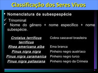Classificação dos Seres Vivos
 Nomenclatura de subespespécie
 Trinominal
 Nome do gênero + nome específico + nome
subespécie.
Crotalus terrificus
terrificus
Rhea americana alba
Pinus nigra nigra
Pinus nigra caramanica
Pinus nigra pallasiana

Cobra cascavel brasileira
Ema branca
Pinheiro negro austríaco
Pinheiro negro turco
Pinheiro negro da Crimeia

 