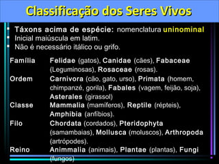 Classificação dos Seres Vivos
 Táxons acima de espécie: nomenclatura uninominal
 Inicial maiúscula em latim.
 Não é necessário itálico ou grifo.
Família
Ordem

Classe
Filo

Reino

Felidae (gatos), Canidae (cães), Fabaceae
(Leguminosas), Rosaceae (rosas).
Carnivora (cão, gato, urso), Primata (homem,
chimpanzé, gorila), Fabales (vagem, feijão, soja),
Asterales (girassol)
Mammalia (mamíferos), Reptile (répteis),
Amphibia (anfíbios).
Chordata (cordados), Pteridophyta
(samambaias), Mollusca (moluscos), Arthropoda
(artrópodes).
Animmalia (animais), Plantae (plantas), Fungi
(fungos)

 
