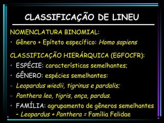 CLASSIFICAÇÃO DE LINEU
NOMENCLATURA BINOMIAL:
• Gênero + Epíteto específico: Homo sapiens
CLASSIFICAÇÃO HIERÁRQUICA (EGFOCFR):
• ESPÉCIE: características semelhantes;
• GÊNERO: espécies semelhantes:
- Leopardus wiedii, tigrinus e pardalis;
- Panthera leo, tigris, onça, pardus.
• FAMÍLIA: agrupamento de gêneros semelhantes
– Leopardus + Panthera = Família Felidae

 
