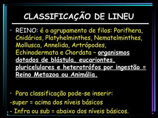 CLASSIFICAÇÃO DE LINEU
• REINO: é o agrupamento de filos: Porifhera,
Cnidários, Platyhelminthes, Nematelminthes,
Mollusca, Annelida, Artrópodes,
Echinodermata e Chordata – organismos
dotados de blástula, eucariontes,
pluricelulares e heterotrófos por ingestão =
Reino Metazoa ou Animália.
• Para classificação pode-se inserir:
-super = acima dos níveis básicos
- Infra ou sub = abaixo dos níveis básicos.

 