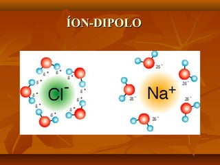 ÍON-DIPOLOÍON-DIPOLO
 
