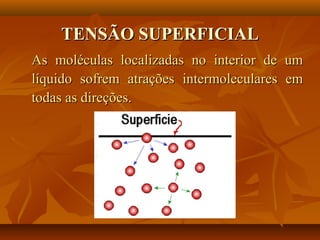 TENSÃO SUPERFICIALTENSÃO SUPERFICIAL
As moléculas localizadas no interior de umAs moléculas localizadas no interior de um
líquido sofrem atrações intermoleculares emlíquido sofrem atrações intermoleculares em
todas as direções.todas as direções.
 