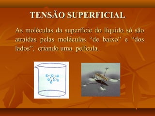 TENSÃO SUPERFICIALTENSÃO SUPERFICIAL
As moléculas da superfície do líquido só sãoAs moléculas da superfície do líquido só são
atraídas pelas moléculas “de baixo” e “dosatraídas pelas moléculas “de baixo” e “dos
lados”, criando uma película.lados”, criando uma película.
 