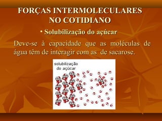 FORÇAS INTERMOLECULARESFORÇAS INTERMOLECULARES
NO COTIDIANONO COTIDIANO
• Solubilização do açúcarSolubilização do açúcar
Deve-se à capacidade que as moléculas deDeve-se à capacidade que as moléculas de
água têm de interagir com as de sacarose.água têm de interagir com as de sacarose.
 