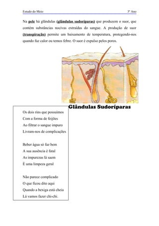 Glândulas Sudoríparas
Estudo do Meio 3º Ano
Na pele há glândulas (glândulas sudoríparas) que produzem o suor, que
contém substâncias nocivas extraídas do sangue. A produção de suor
(transpiração) permite um baixamento de temperatura, protegendo-nos
quando faz calor ou temos febre. O suor é expulso pelos poros.
Os dois rins que possuímos
Com a forma de feijões
Ao filtrar o sangue impuro
Livram-nos de complicações
Beber água só faz bem
A sua ausência é fatal
As impurezas lá saem
È uma limpeza geral
Não parece complicado
O que ficou dito aqui
Quando a bexiga está cheia
Lá vamos fazer chi-chi.
 