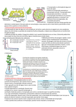 3ano 1bi pga-2_bio_quim