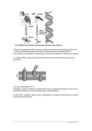 Página 7 de 11
a) Qual a característica do DNA, enquanto molécula mandatária da informação genética, que
permite a transmissão dessa informação do organismo para seus descendentes?
b) A ocorrência de mutações é importante para a evolução da espécie? Justifique sua resposta.
19. (Unifesp 2004) O esquema representa parte da membrana plasmática de uma célula
eucariótica.
a) A que correspondem X e Y?
b) Explique, usando o modelo do "mosaico fluido" para a membrana plasmática, como se dá a
secreção de produtos do meio intracelular para o meio extracelular.
20. (Ufrj 1997) O gráfico a seguir mostra as alterações no conteúdo de ADN durante o ciclo de
vida da maioria das células:
 
