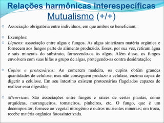 Relações harmônicas interespecíficas
Mutualismo (+/+)
o Associação obrigatória entre indivíduos, em que ambos se beneficiam;
o Exemplos:
o Líquens: associação entre algas e fungos. As algas sintetizam matéria orgânica e
fornecem aos fungos parte do alimento produzido. Esses, por sua vez, retiram água
e sais minerais do substrato, fornecendo-os às algas. Além disso, os fungos
envolvem com suas hifas o grupo de algas, protegendo-as contra desidratação;
o Cupins e protozoários: Ao comerem madeira, os cupins obtêm grandes
quantidades de celulose, mas não conseguem produzir a celulase, enzima capaz de
digerir a celulose. Em seu intestino existem protozoários flagelados capazes de
realizar essa digestão;
o Micorrizas: São associações entre fungos e raízes de certas plantas, como
orquídeas, morangueiros, tomateiros, pinheiros, etc. O fungo, que é um
decompositor, fornece ao vegetal nitrogênio e outros nutrientes minerais; em troca,
recebe matéria orgânica fotossintetizada.
 