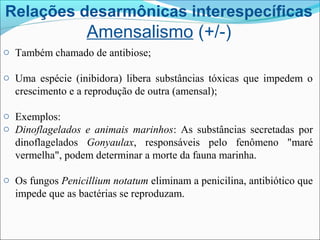 Relações desarmônicas interespecíficas
Amensalismo (+/-)
o Também chamado de antibiose;
o Uma espécie (inibidora) libera substâncias tóxicas que impedem o
crescimento e a reprodução de outra (amensal);
o Exemplos:
o Dinoflagelados e animais marinhos: As substâncias secretadas por
dinoflagelados Gonyaulax, responsáveis pelo fenômeno "maré
vermelha", podem determinar a morte da fauna marinha.
o Os fungos Penicillium notatum eliminam a penicilina, antibiótico que
impede que as bactérias se reproduzam.
 