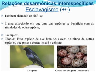 Relações desarmônicas interespecíficas
Esclavagismo (+/-)
o Também chamado de sinfilia;
o É uma associação em que uma das espécies se beneficia com as
atividades de outra espécie;
o Exemplos:
o Chupim: Essa espécie de ave bota seus ovos no ninho de outras
espécies, que passa a chocá-los até a eclosão.
 