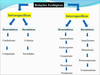 Relações Ecológicas
Intraespecíficas
Desarmônicas Harmônicas
Competição
Canibalismo Colônias
Sociedades
Interespecíficas
Desarmônicas Harmônicas
Mutualismo
Protocooperação
Inquilinismo
Parasitismo
Competição
Amensalismo
Predatismo
Comensalismo
Esclavagismo
 