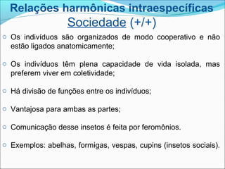 Relações harmônicas intraespecíficas
Sociedade (+/+)
o Os indivíduos são organizados de modo cooperativo e não
estão ligados anatomicamente;
o Os indivíduos têm plena capacidade de vida isolada, mas
preferem viver em coletividade;
o Há divisão de funções entre os indivíduos;
o Vantajosa para ambas as partes;
o Comunicação desse insetos é feita por feromônios.
o Exemplos: abelhas, formigas, vespas, cupins (insetos sociais).
 