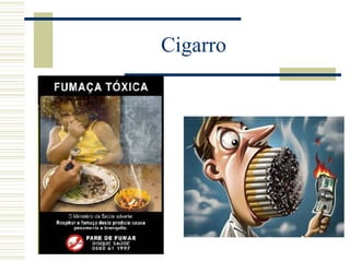 Cigarro 
 