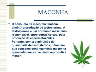 MACONHA 
 O consumo da maconha também 
diminui a produção de testosterona. A 
testosterona é um hormônio masculino 
responsável, entre outras coisas, pela 
produção de espermatozóides. 
Portanto, com a diminuição da 
quantidade de testosterona, o homem 
que consome continuamente maconha 
apresenta uma capacidade reprodutiva 
menor. 
 