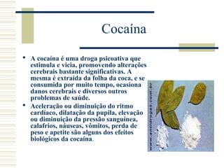 Cocaína 
 A cocaína é uma droga psicoativa que 
estimula e vicia, promovendo alterações 
cerebrais bastante significativas. A 
mesma é extraída da folha da coca, e se 
consumida por muito tempo, ocasiona 
danos cerebrais e diversos outros 
problemas de saúde. 
 Aceleração ou diminuição do ritmo 
cardíaco, dilatação da pupila, elevação 
ou diminuição da pressão sanguínea, 
calafrios, náuseas, vômitos, perda de 
peso e apetite são alguns dos efeitos 
biológicos da cocaína. 
 